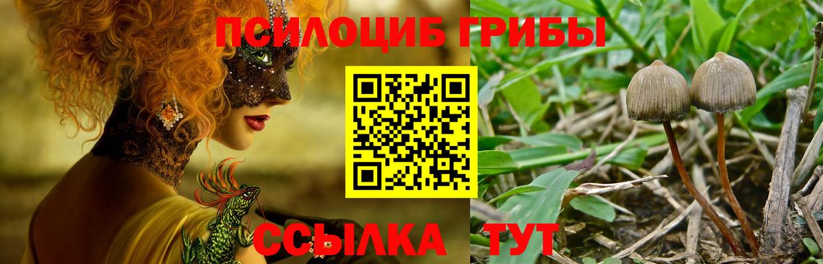 Грязи  Псилоцибиновые грибы MAGIC MUSHROOMS  Вход с VPN  Галлюциногенные грибы Cubensis 